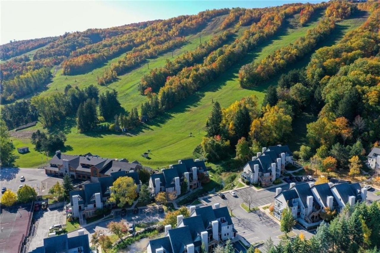 Blue Mountain At Your Door Step Blue Mountains Extérieur photo